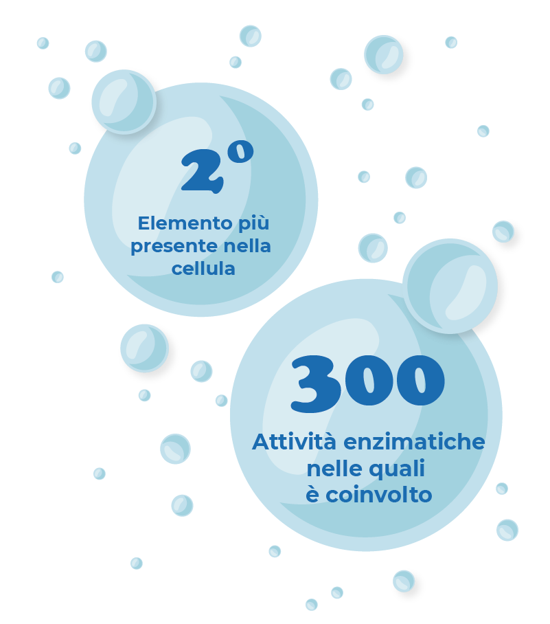 L'importanza del magnesio - alcuni numeri