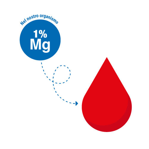 Percentuale magnesio nel nostro sangue